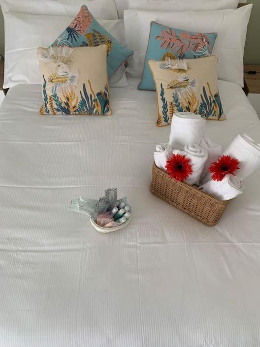Appartamento Casa - Torre Dell'Orologio Canosa di Puglia Esterno foto